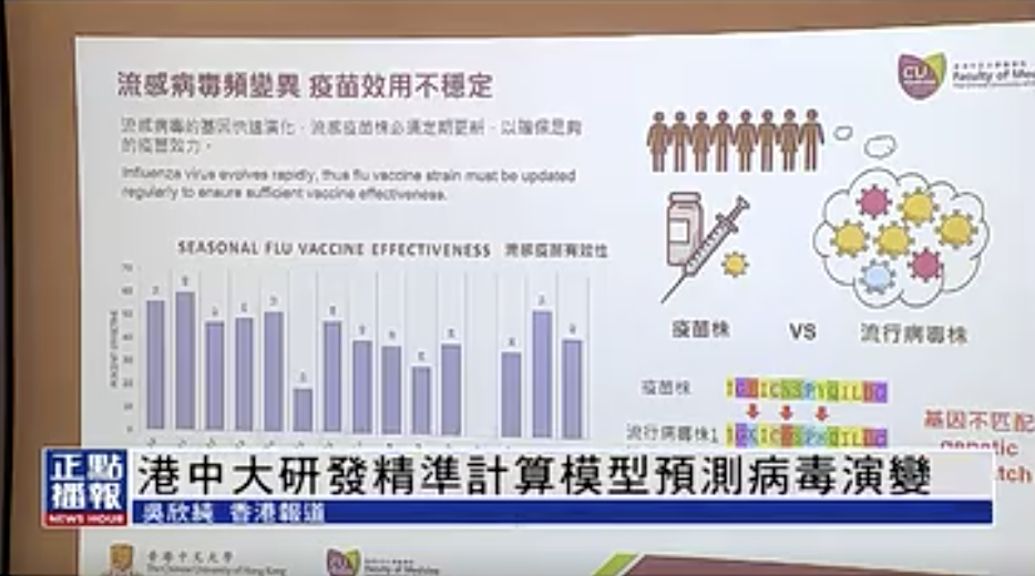 203，香港精準資料大全下載指南