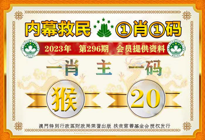 香港資料大全，2019年正版資料的特色與價值