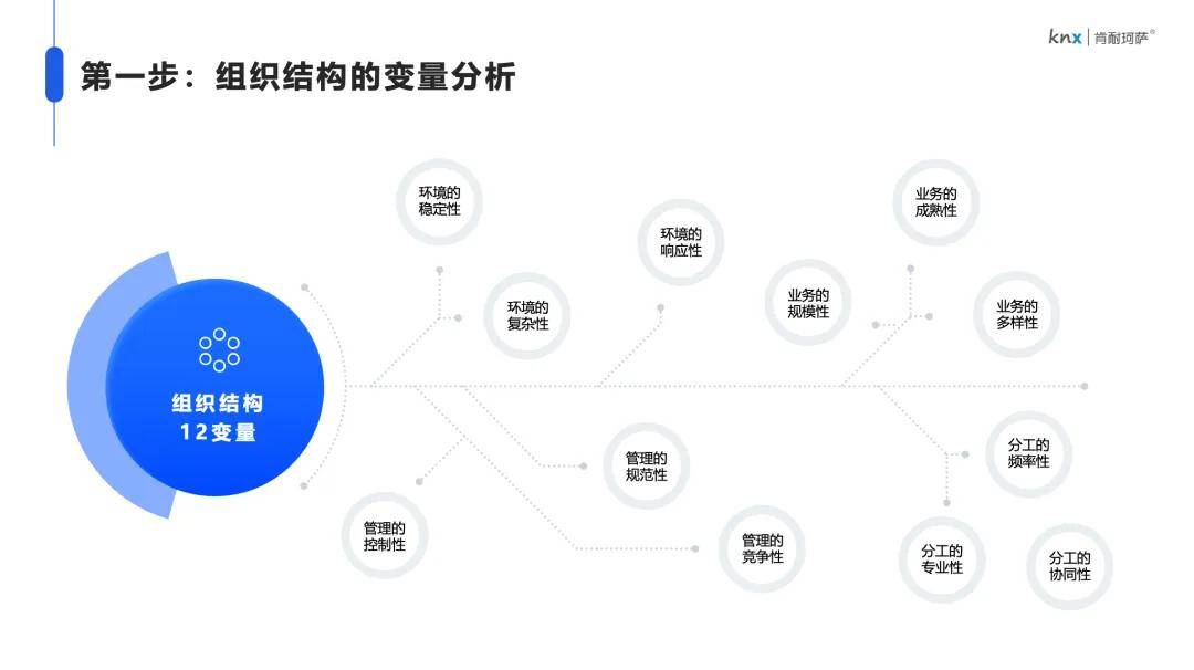 探索香港，全面而權(quán)威的資料大全——手機版下載指南