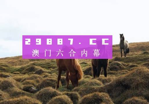 澳門開獎(jiǎng)現(xiàn)場(chǎng)直播，今晚的精彩瞬間與幸運(yùn)預(yù)測(cè)