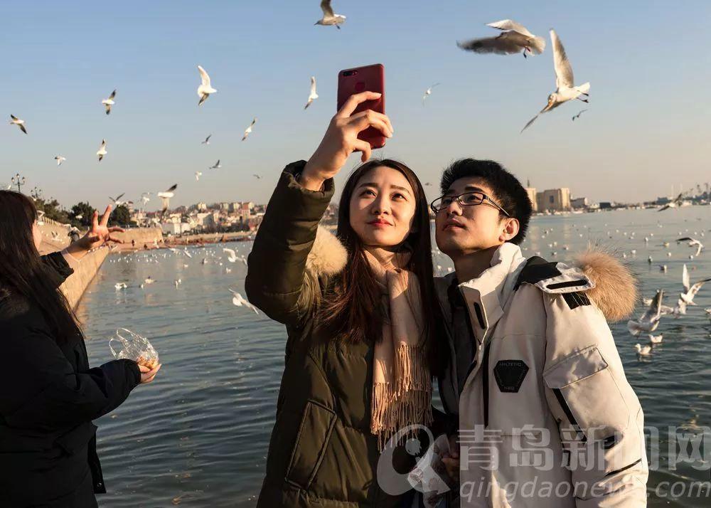 海鷗飛處彩云飛的浪漫旅程——一部經(jīng)典愛情劇的劇情解析