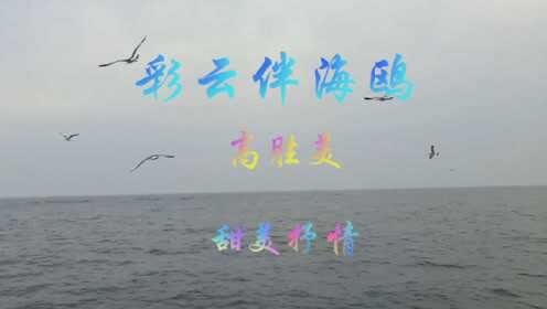 歌曲海鷗飛處彩云歸，一曲穿越時(shí)空的浪漫與追尋