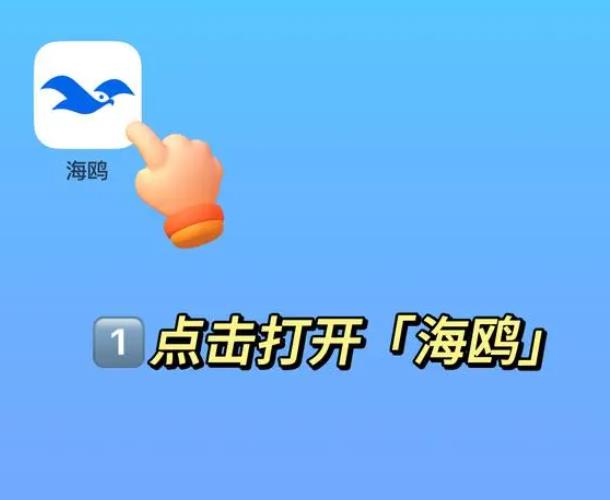 探索海鷗APP電腦版，官方下載與卓越體驗(yàn)