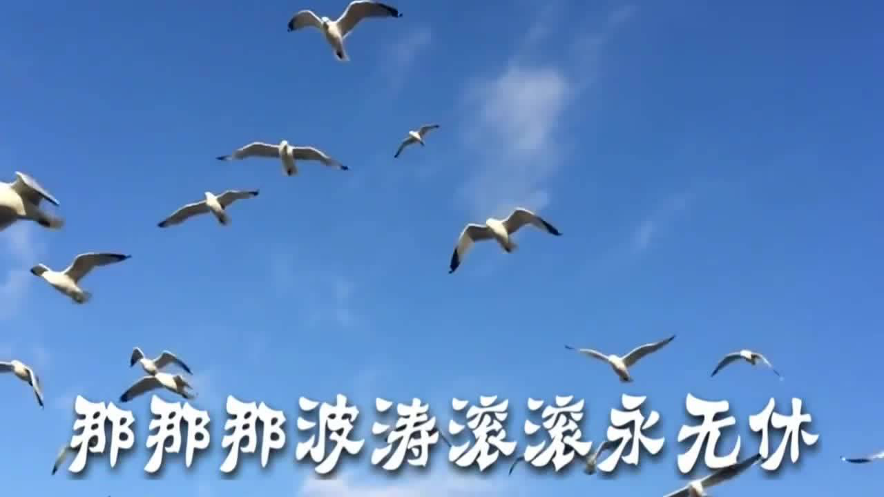 彩云伴海鷗，原唱的旋律與情感