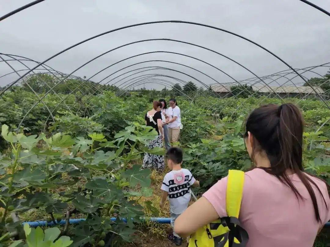 廣州海鷗島，探索自然與休閑的完美融合