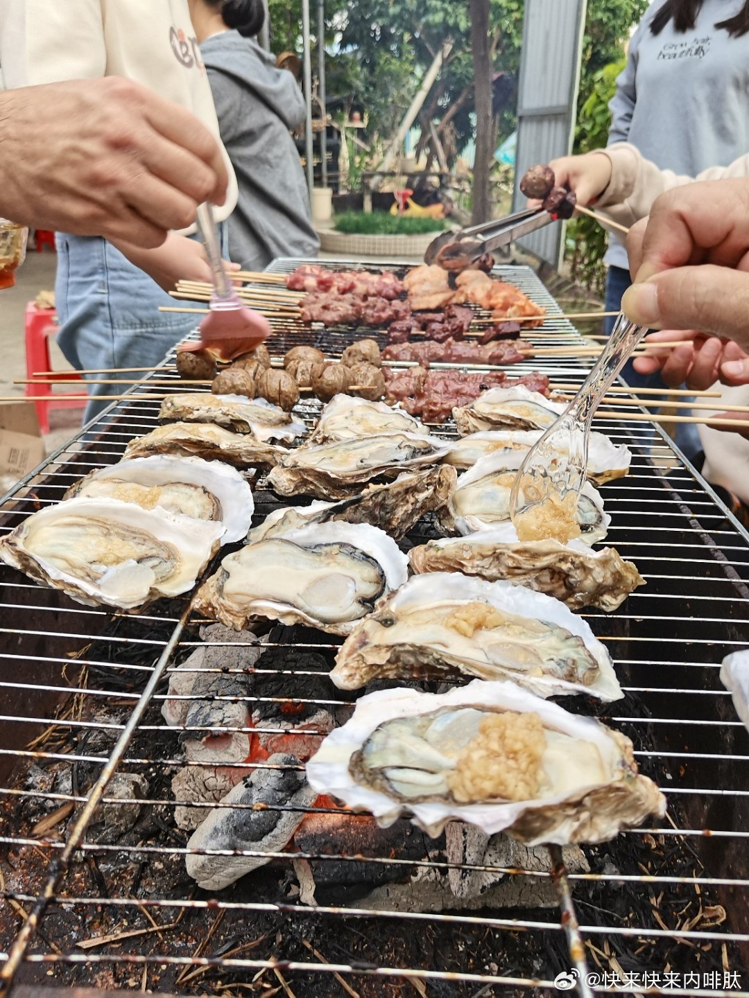 探索海鷗島，租燒烤爐的樂趣與魅力