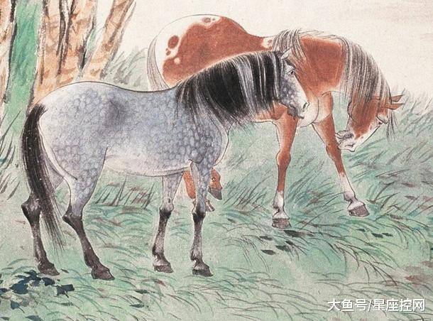 2019年特馬生肖圖，傳統(tǒng)與現(xiàn)代交融的幸運(yùn)密碼2019年特馬生肖圖22期