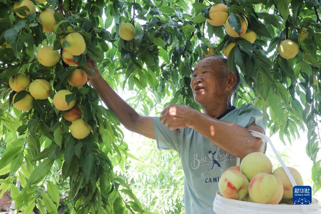 探索焦作之美，揭秘www.jiaozuo.com的獨(dú)特魅力大豆行情網(wǎng)免費(fèi)v