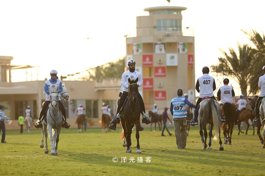 探索香港正版馬會(huì)精選資料大全，揭秘賽馬的智慧與魅力香港正版馬會(huì)精選資料大全On my new hotel