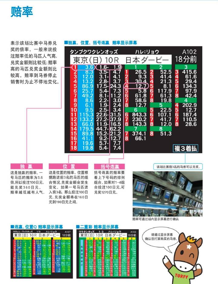 智慧與激情交匯處   4 有準(zhǔn)性