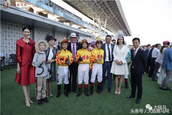 探索正版馬會(huì)精選資料大全，提升賽馬的智慧之選正版馬會(huì)精選資料大全新聞