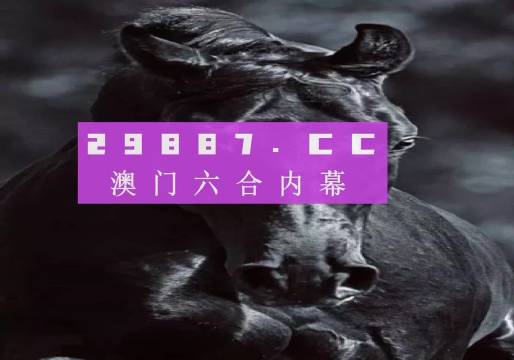 澳門彩今晚揭曉，49的神秘魅力與數(shù)字游戲2025澳門開獎結(jié)果查詢