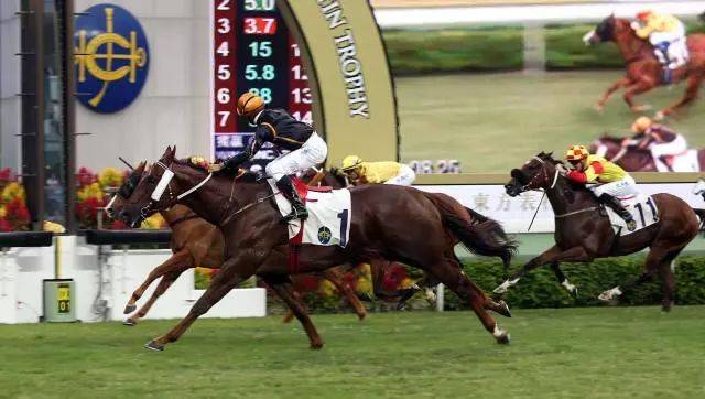 2019年馬會正版香港資料大全，揭秘賽馬的魅力與策略2021年正版馬會香港資料大全一