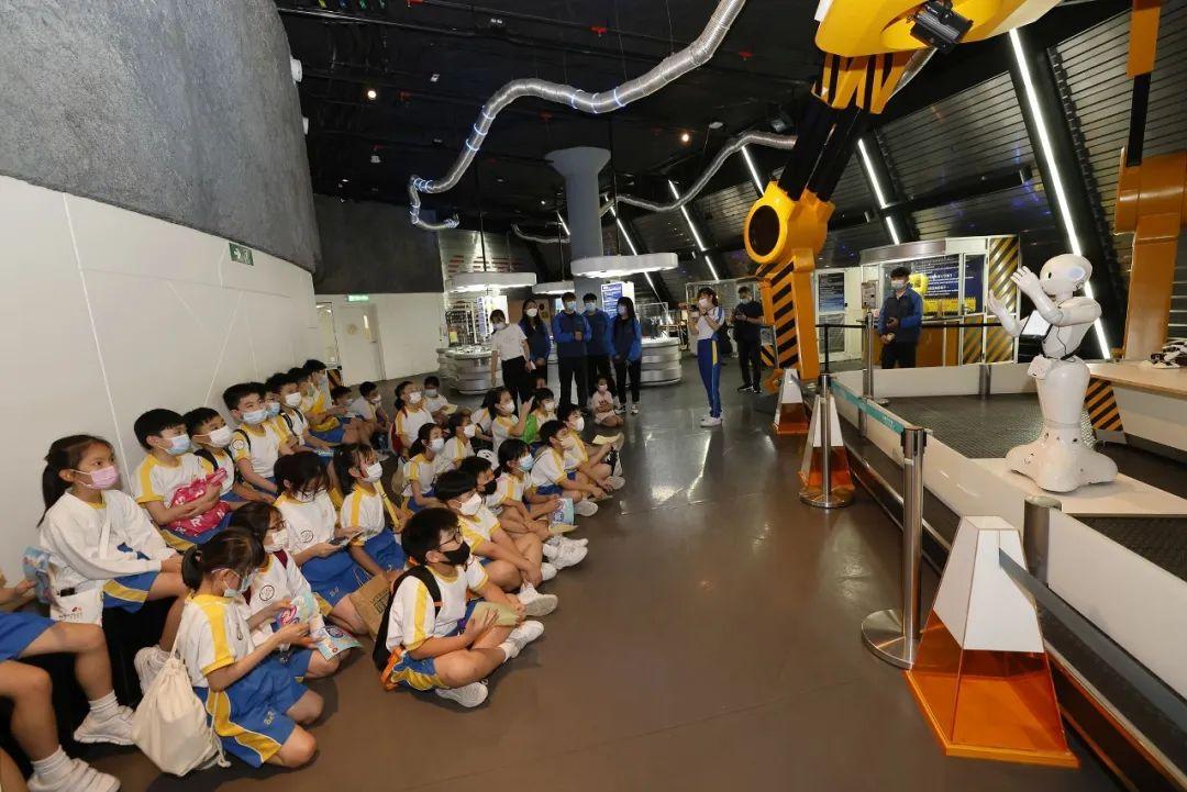 揭秘香港澳门6合开彩记录，135期中奖号码的深度解析与查询指南香港澳门6合开彩记录135期开奖号码查询表图片